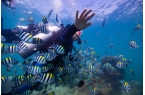 期旅游多重福利解锁海岛新玩法九游会·j9
