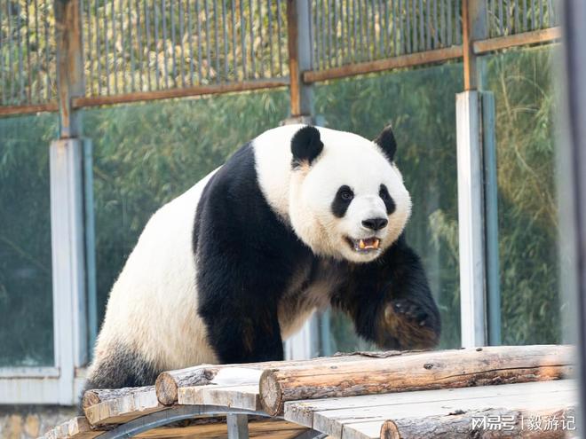 权威!口碑与靠谱兼具的优选清单九游会J92025十大旅行社(图4) 权威!口碑与靠谱兼具的优选清单九游会J92025十大旅行社(图4)