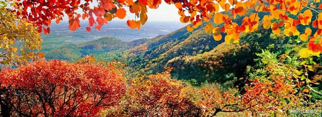 权威!口碑与靠谱兼具的优选清单九游会J92025十大旅行社(图5) 权威!口碑与靠谱兼具的优选清单九游会J92025十大旅行社(图5)