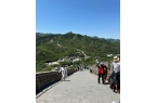 端定制游：专属体验解锁京城新玩法j9九游